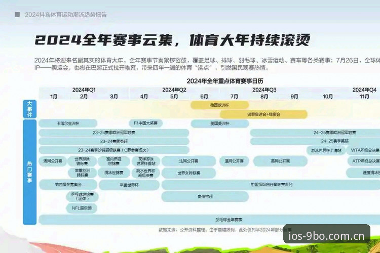 9博体育官网登录入口全面解析：从安全指南到2025最新注册路径的深度洞察